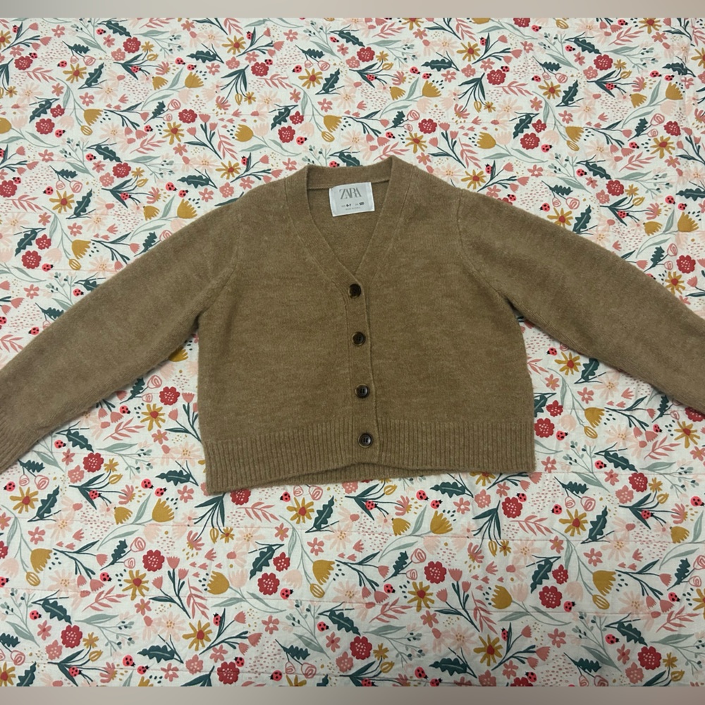 Zara sweater